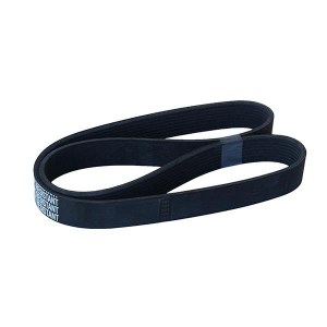 CINGHIA 8PK1035