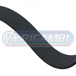 CINGHIA 10PK1545
