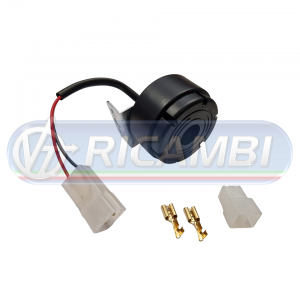 AVVC-012
