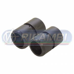 BCL-219
