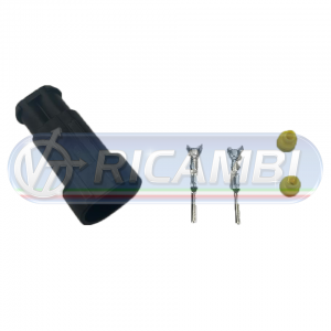 CNTE-019