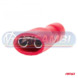 FST-008-2