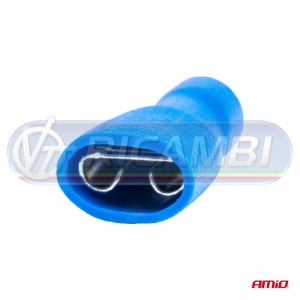 FST-013-2