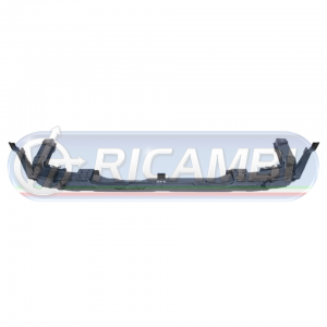 RNFP-001