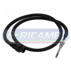 SNST-006-01