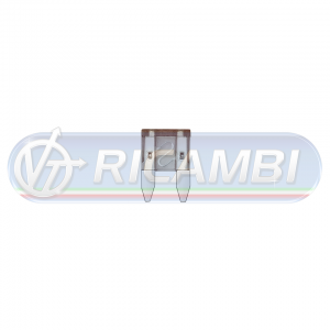 beige_5A_10303