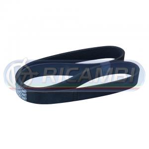 CINGHIA 10PK1425