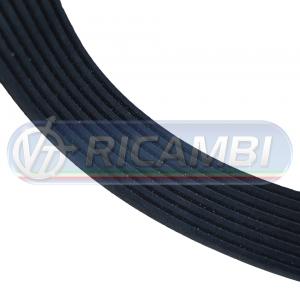 CINGHIA 8PK1250