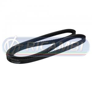CINGHIA TRAPEZOIDALE 13 X LA 1050