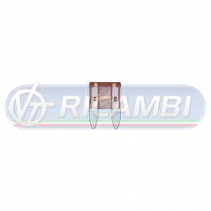 marron_75a_10304