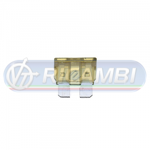 marron_75a_1042